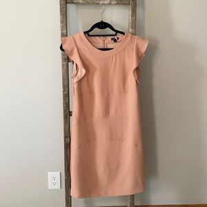 Ann Taylor Dress